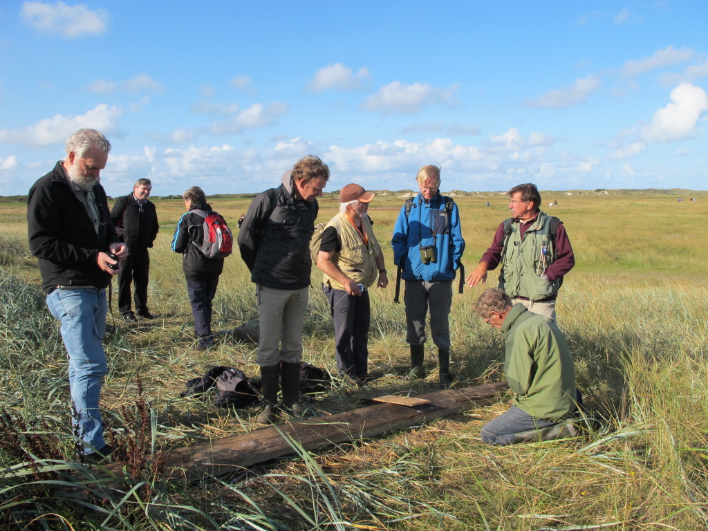 Texel Slufterexcursie 2014-09-21